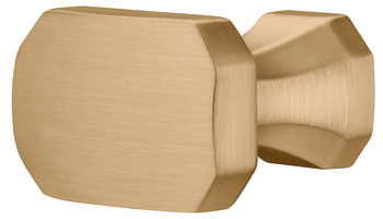 Knob zi.gold col.brush.36x31mm 31 mm
