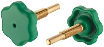 Axle screws brass