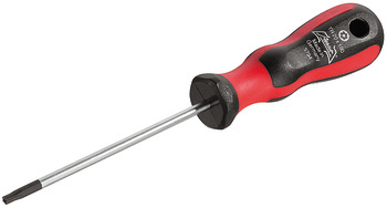 Screw driver T-star 10x175mm 175 mm