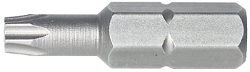 TS-Bit 1/4