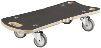 Transport aid 250kg 