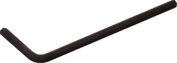 Allen key galv L-shape SW2,5
