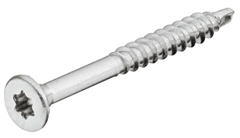 Dr.screw CS TS galv. 4,0x30mm
