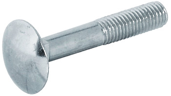 LENS HEAD SCREW GALV.M 6X 40MM