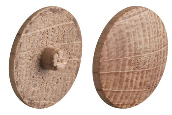 Cover cap Minifix 15 oak 