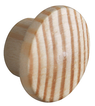 capac de mascare, d13/8,0mm, finisaj pin 8.0 mm